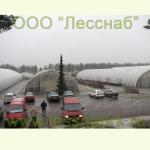 Территория лесопитомника