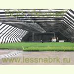 Теплица для выращивания сеянцев с закрытьой корневой системой